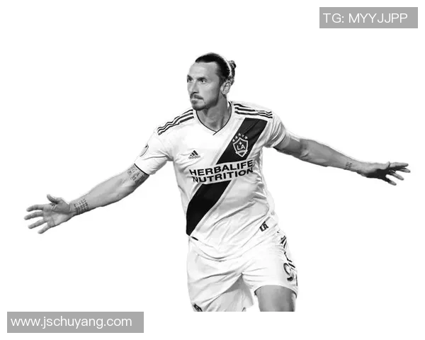 足球明星选择退役球队的背后故事与养老生活的理想追求